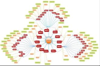 �齫���׹��߾�����Ƶ������仯��Ƥ���������Ӱ����ֳ����(ͼ)...